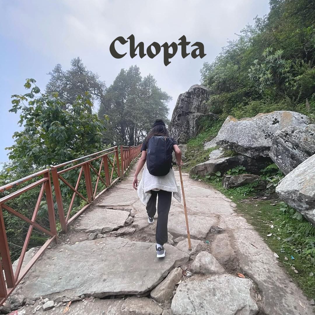 Chopta Tour Package for Family & Couples – Nature Retreat